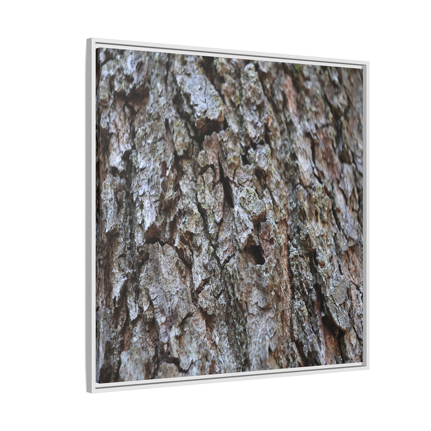 Woodland Canvas - Unique Stretched Canvas Wall Art