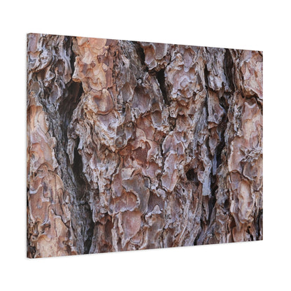 Rough Canvas - Unique Frameless Canvas Wall Art