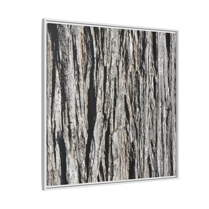 Nature's Abstract - Unique Stretched Canvas Wall Art