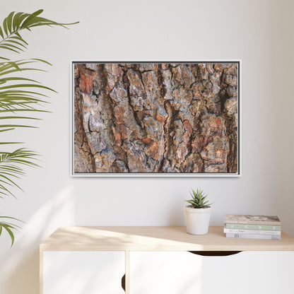 Tree's Timeworn Tale - Unique Stretched Canvas Wall Art
