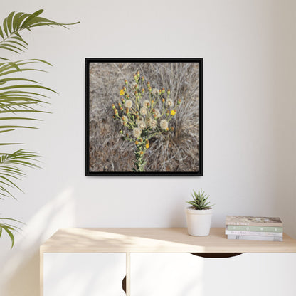 Whispers of the Dry Grass - Unique Stretched Canvas Wall Art - Art By Earth