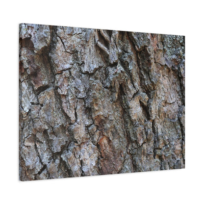 Rugged Canvas - Unique Frameless Canvas Wall Art