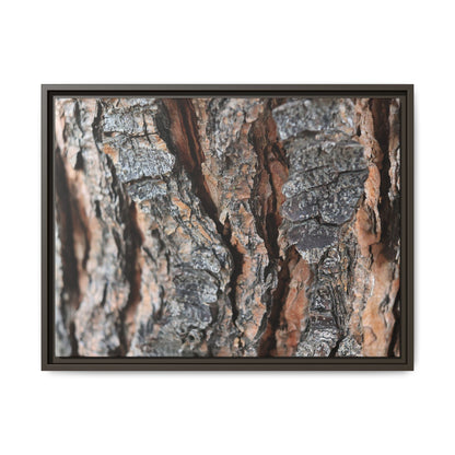 Fractured Nature - Unique Stretched Canvas Wall Art