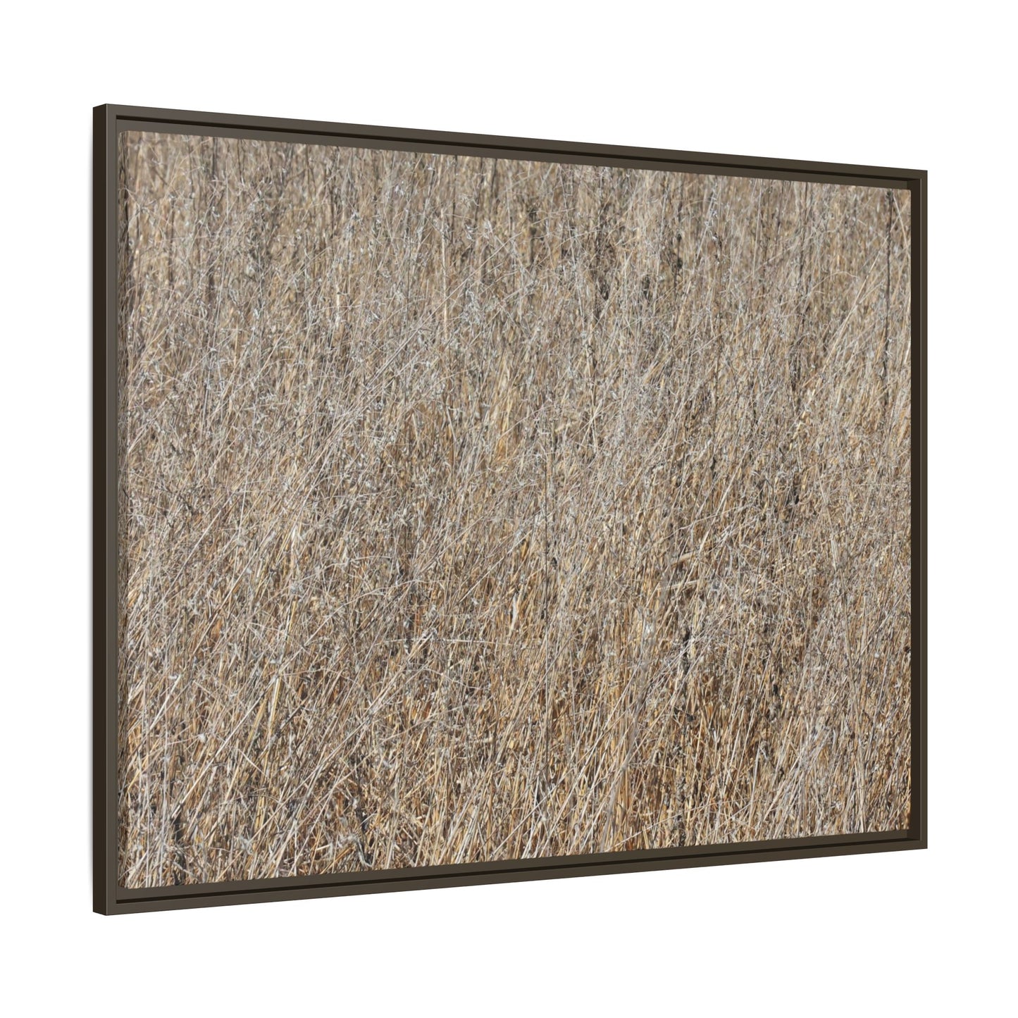 Dry Straw Symphony - Unique Stretched Canvas Wall Art - Art By Earth