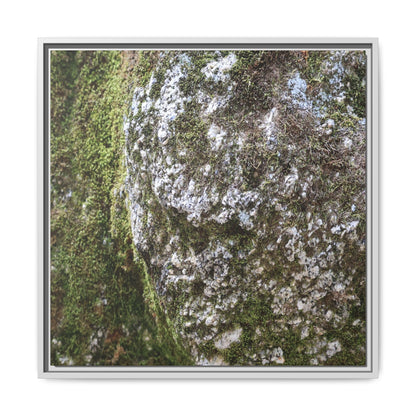 Lichen Landscape - Unique Stretched Canvas Wall Art