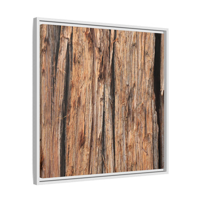 Timber Echoes - Unique Stretched Canvas Wall Art