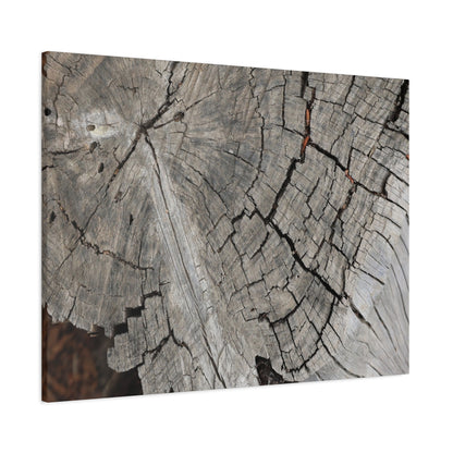 Cracked Memories - Unique Frameless Canvas Wall Art