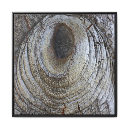 Echoes of Time - Unique Stretched Canvas Wall Art