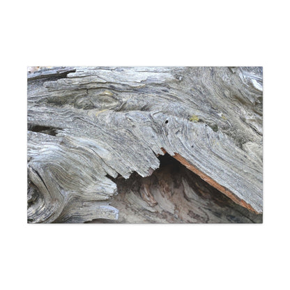 Whispers of Ancient Wood - Unique Frameless Canvas Wall Art