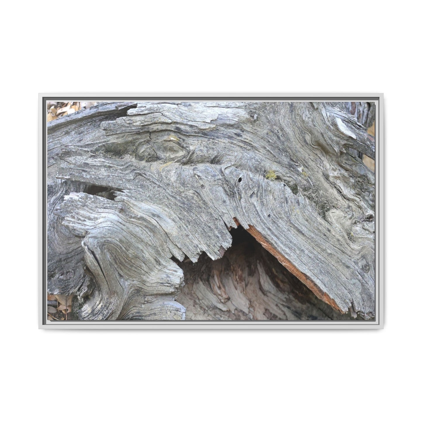 Driftwood Dreams - Unique Stretched Canvas Wall Art