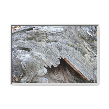 Driftwood Dreams - Unique Stretched Canvas Wall Art