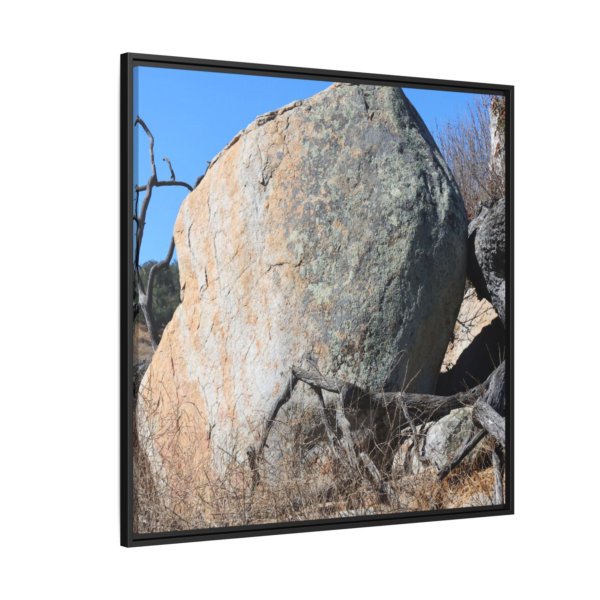 Stony Sentinel - Unique Stretched Canvas Wall Art - Art By Earth