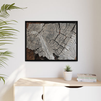 Time's Signature - Unique Stretched Canvas Wall Art
