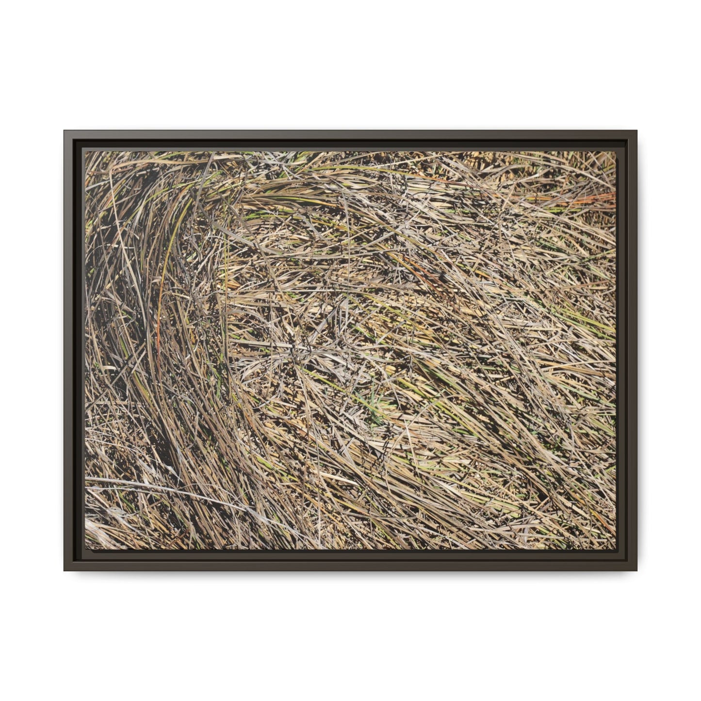Tangled Grass Symphony - Unique Stretched Canvas Wall Art - Art By Earth