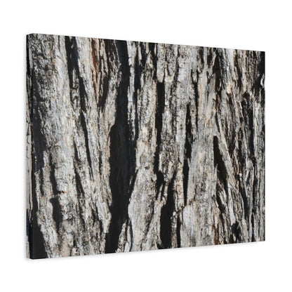 Bark Textures in Monochrome - Unique Frameless Canvas Wall Art