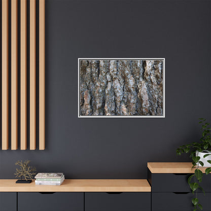 Bark Whispers - Unique Stretched Canvas Wall Art