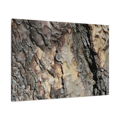 Tree Bark Symphony - Unique Frameless Canvas Wall Art
