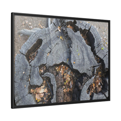 Time's Fractal Memory - Unique Stretched Canvas Wall Art