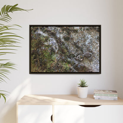 Mossy Whispers - Unique Stretched Canvas Wall Art