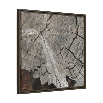 Time's Signature - Unique Stretched Canvas Wall Art