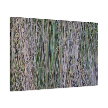 Whispers of Grass - Unique Frameless Canvas Wall Art