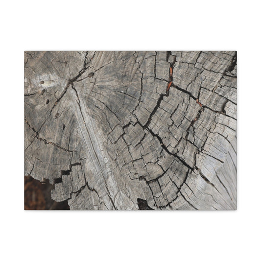 Cracked Memories - Unique Frameless Canvas Wall Art
