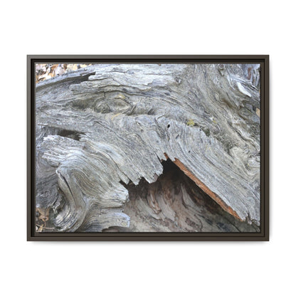 Driftwood Dreams - Unique Stretched Canvas Wall Art