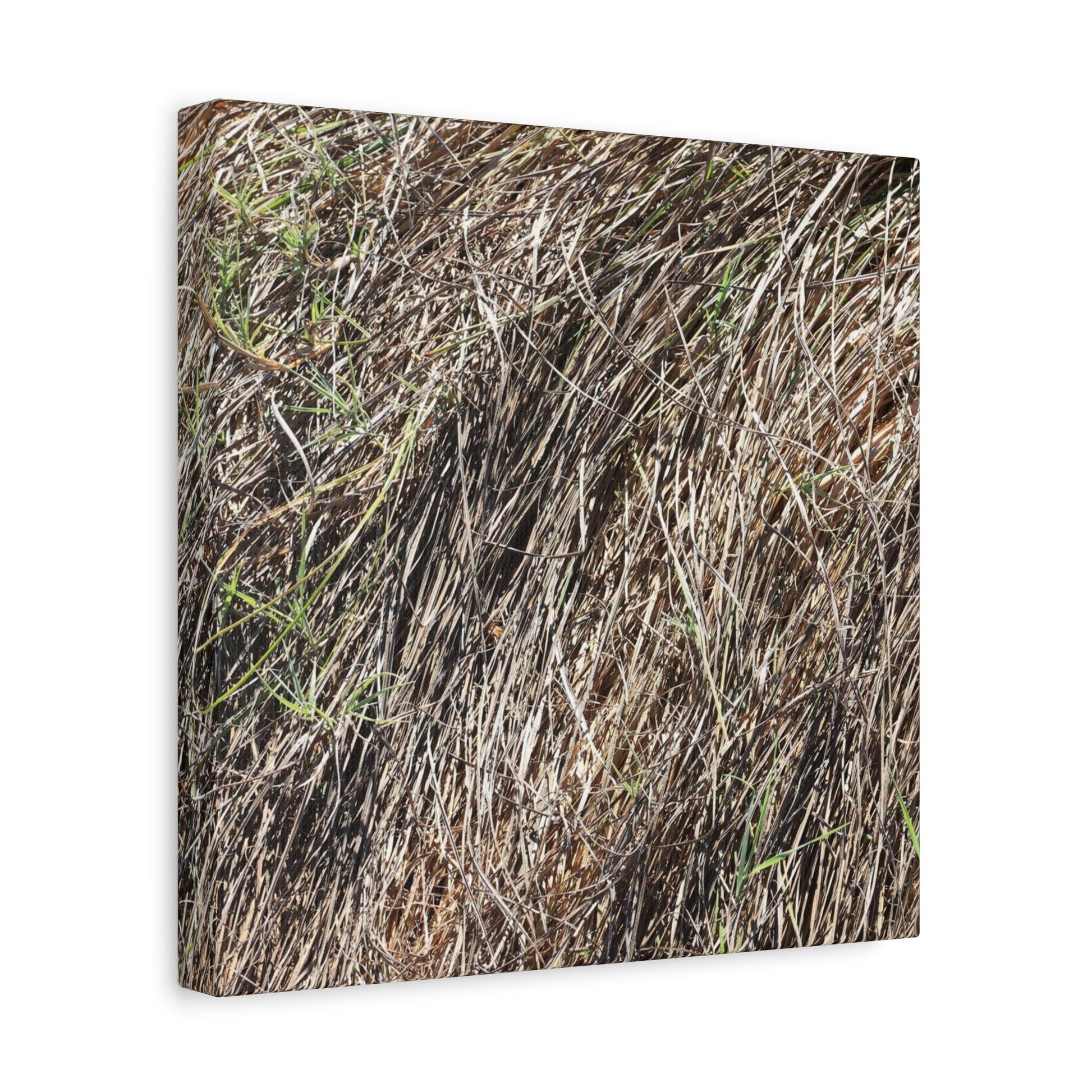Tangled Wilderness - Unique Stretched Canvas Wall Art - Art By Earth