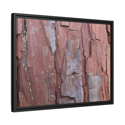 Peeling Bark - Unique Stretched Canvas Wall Art