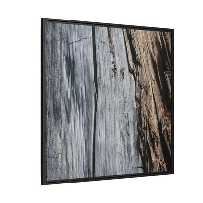 Wood's Lament - Unique Stretched Canvas Wall Art