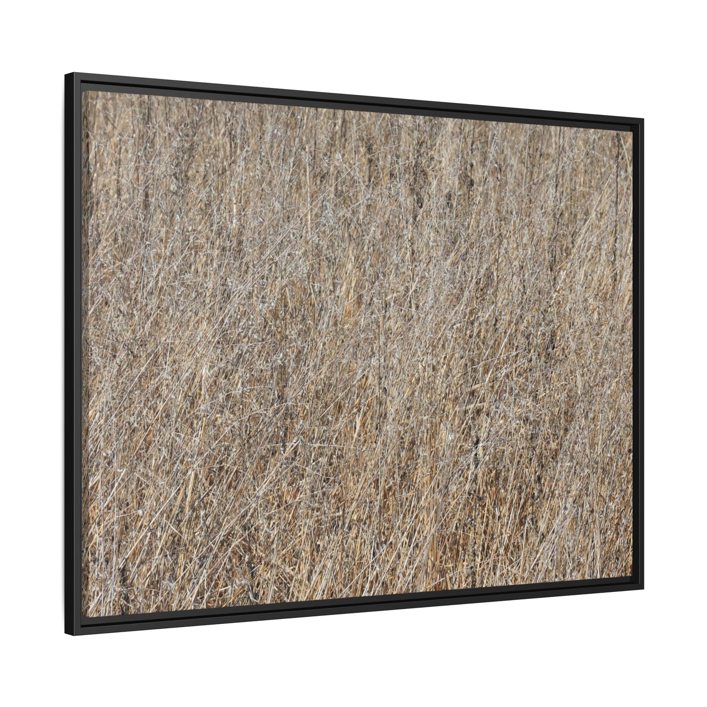 Dry Straw Symphony - Unique Stretched Canvas Wall Art - Art By Earth