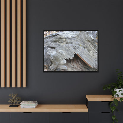Driftwood Dreams - Unique Stretched Canvas Wall Art