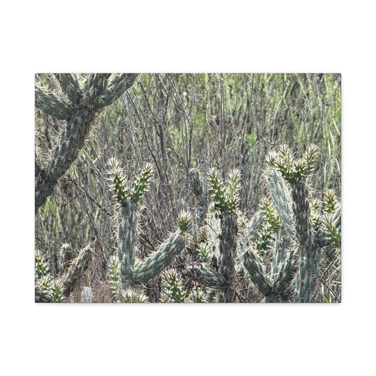 Spiny Sentinels - Unique Frameless Canvas Wall Art