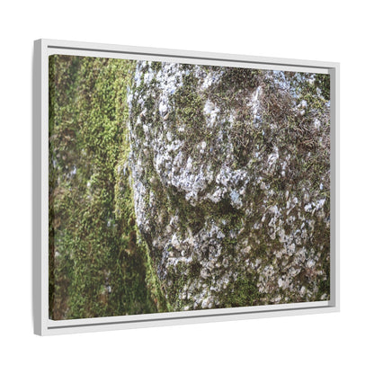 Lichen Landscape - Unique Stretched Canvas Wall Art