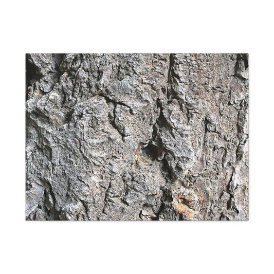 Elemental Canvas - Unique Frameless Canvas Wall Art