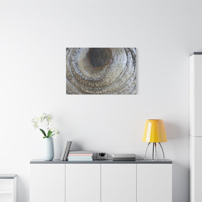 Bark's Eye - Unique Frameless Canvas Wall Art