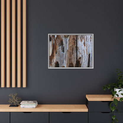 Decaying Splendor - Unique Stretched Canvas Wall Art
