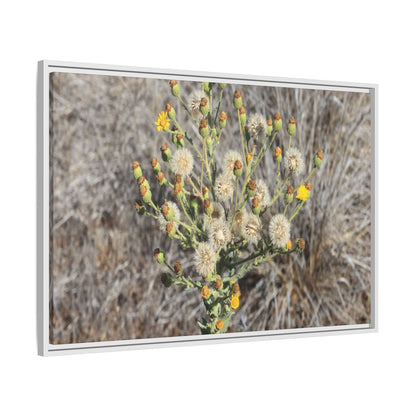 Whispers of the Dry Grass - Unique Stretched Canvas Wall Art - Art By Earth