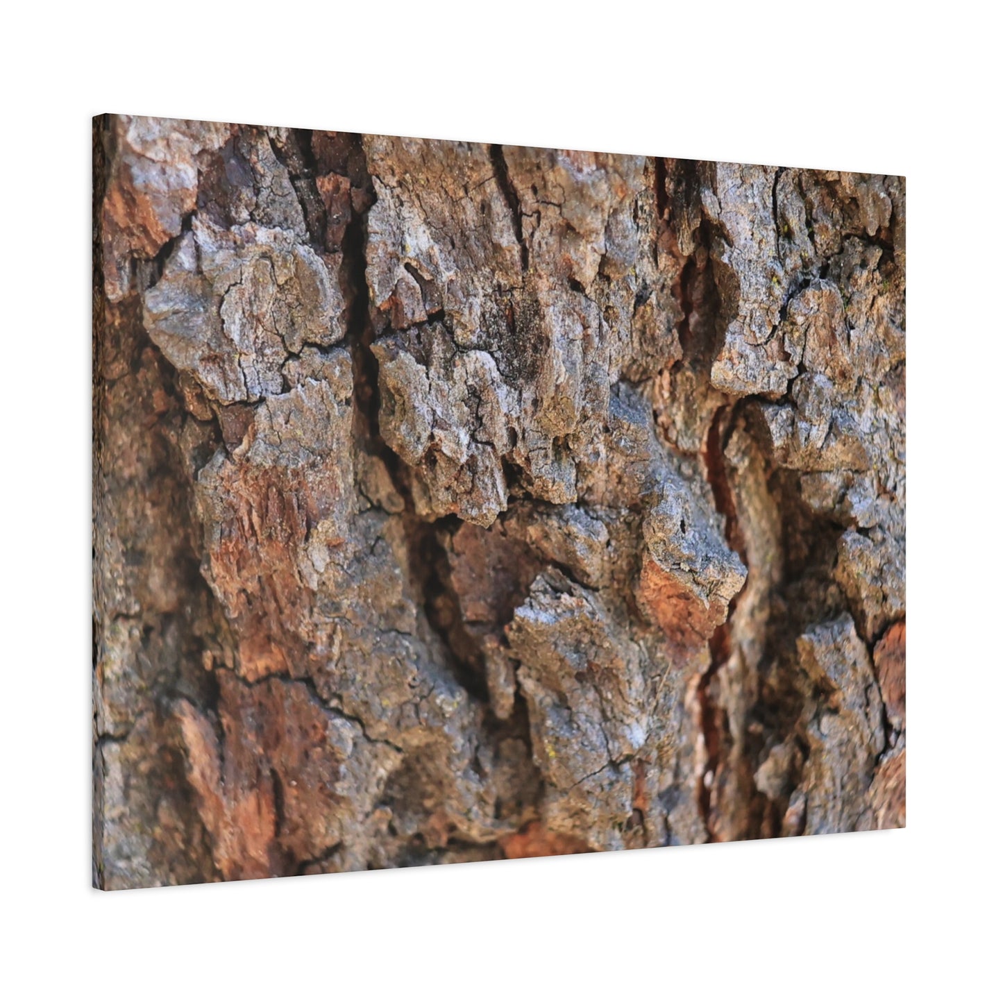 Nature's Skin - Unique Frameless Canvas Wall Art