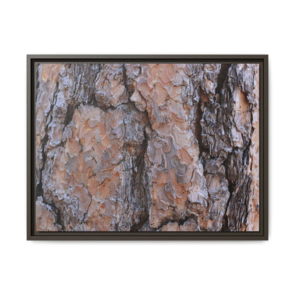 Tree Skin Symphony - Unique Stretched Canvas Wall Art