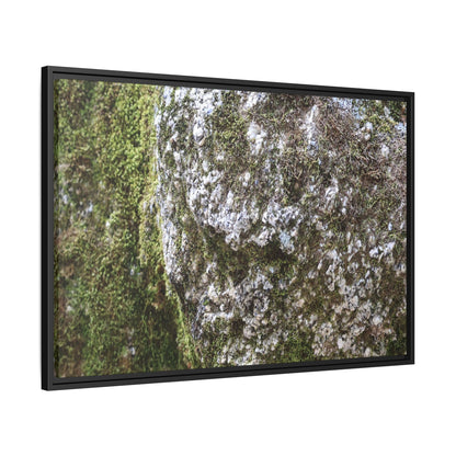Lichen Landscape - Unique Stretched Canvas Wall Art