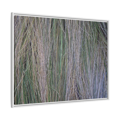 Whispers of Silver Grass - Unique Stretched Canvas Wall Art