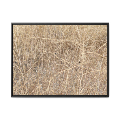 Golden Stalks - Unique Stretched Canvas Wall Art
