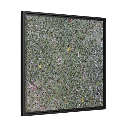 Grassy Texture - Unique Stretched Canvas Wall Art
