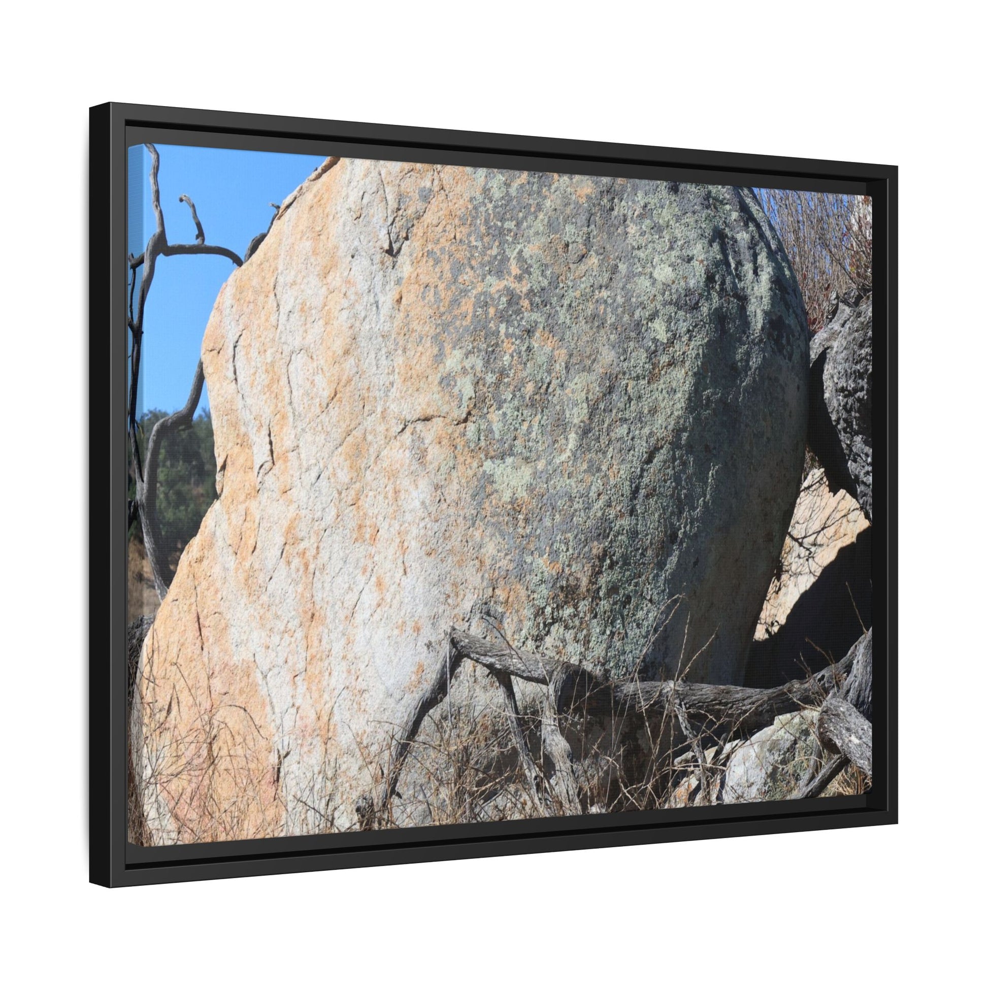 Stony Sentinel - Unique Stretched Canvas Wall Art - Art By Earth