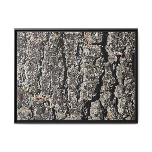 Bark Study in Gray - Unique Poster Wall Art