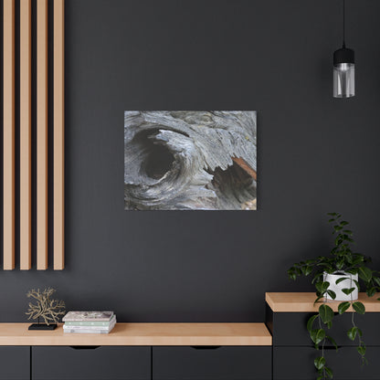 Twisted Whispers of the Forest Floor - Unique Frameless Canvas Wall Art