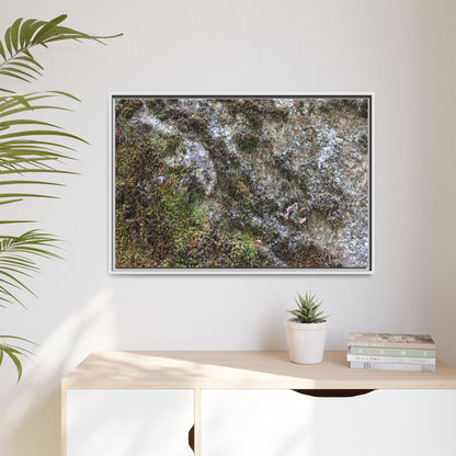 Mossy Whispers - Unique Stretched Canvas Wall Art