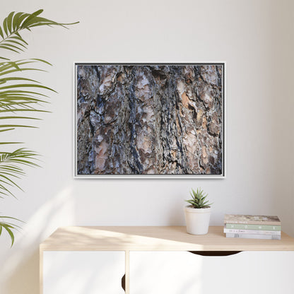 Weathered Patterns - Unique Stretched Canvas Wall Art
