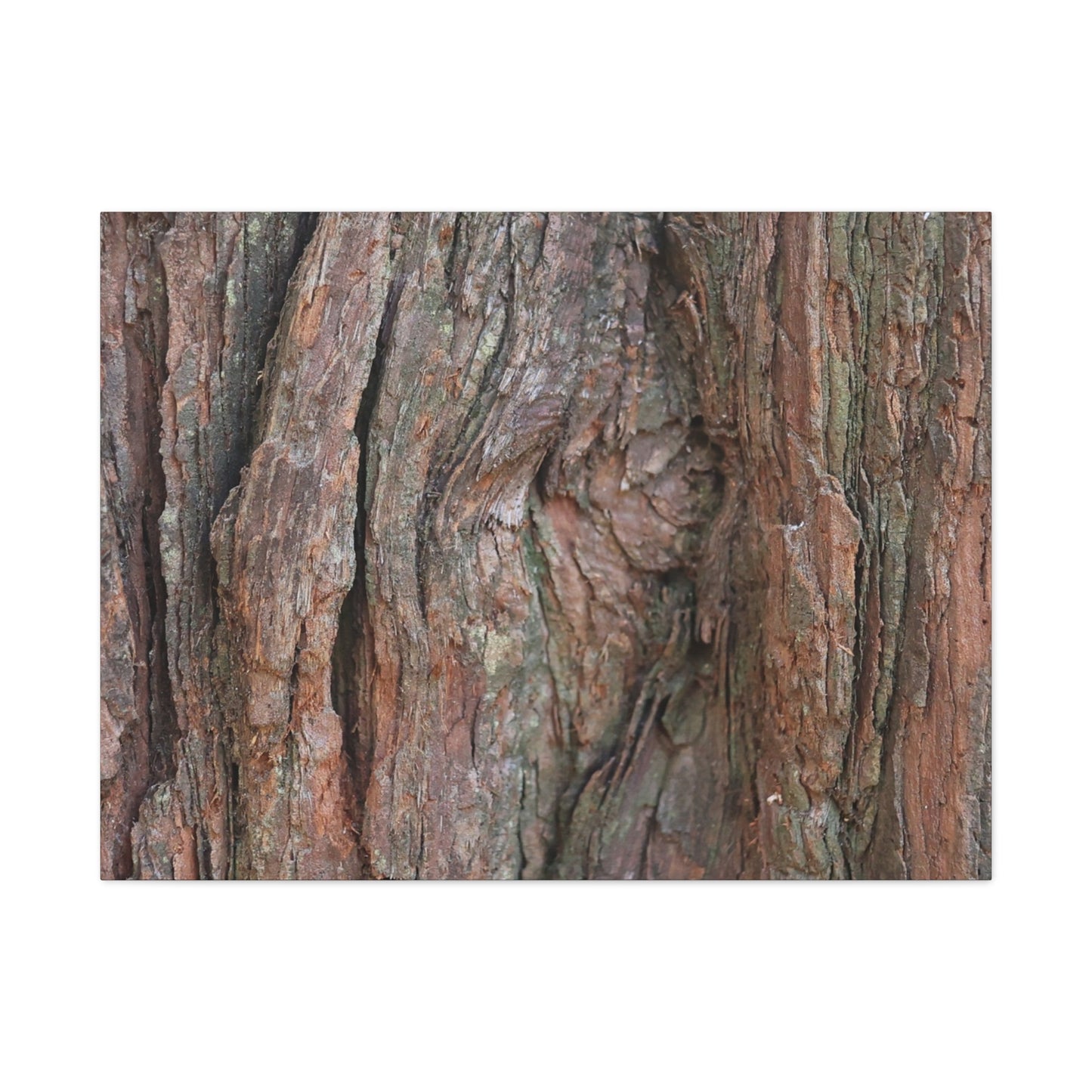 Rustic Embrace - Unique Frameless Canvas Wall Art